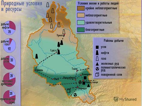 Уникальные виды ископаемых в Сибири