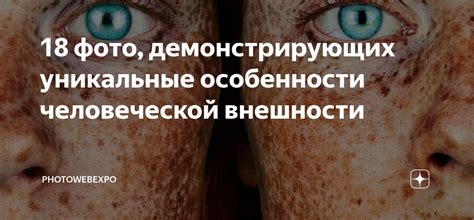 Уникальные особенности мерина, позволяющие ему быть теплокровным