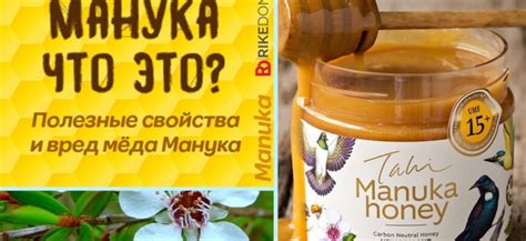 Уникальные свойства манука меда