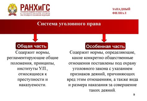 Уполномоченный импортер в России: основное понятие и задачи