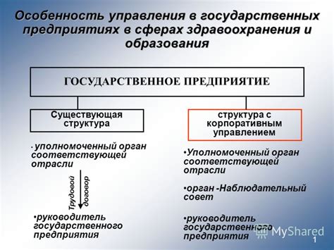 Уполномоченный орган: примеры в разных сферах