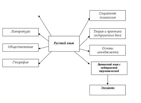 Употребление фразеологизма "как угорелый" в повседневной речи