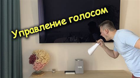 Управление телевизором голосом: