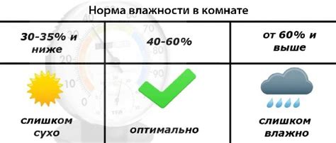 Уровень влажности в комнате 45: причины и последствия