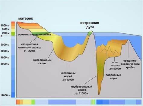 Уровень моря: его значения и экологический вклад