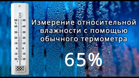 Уровень относительной влажности воздуха и его значение