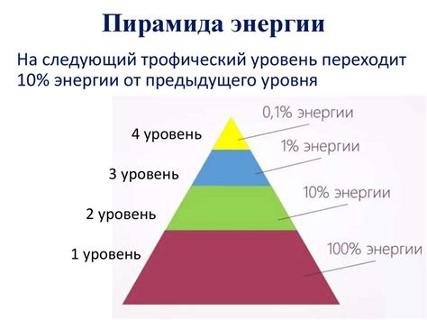 Уровень энергии и производительность