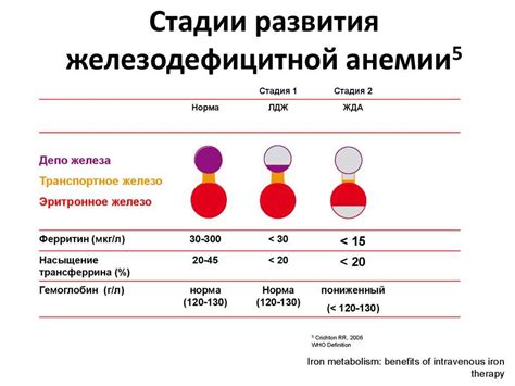 Уровни гемоглобина и крови