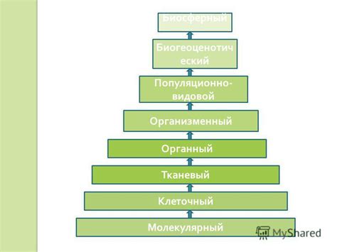 Уровни классов и их особенности