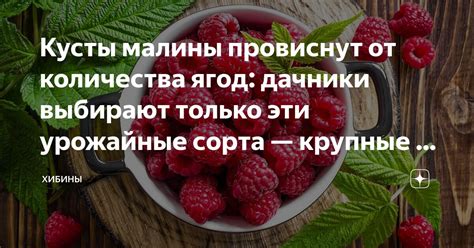 Урожайные плоды и ягоды