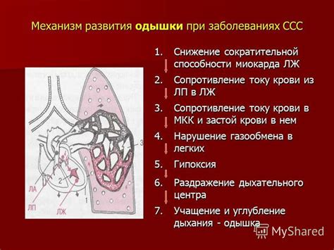 Усиление кардиоваскулярной системы