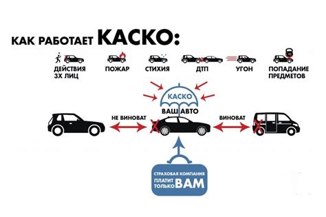 Условия и особенности КАСКО пополам