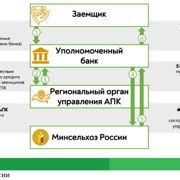 Условия получения кредита запрещенного