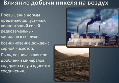 Утрата природного биотопа: действие на фауну и экологическую ситуацию