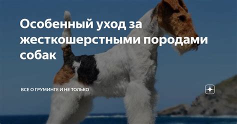 Уход за полыми коренными породами в период покоя