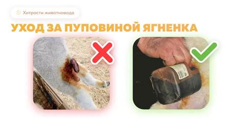 Уход за пуповиной раной