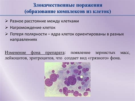 Участие клеток плоского эпителия в газообмене