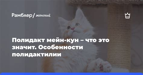 У меня есть кун - что это значит?