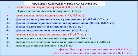 Фазы цикла и их продолжительность