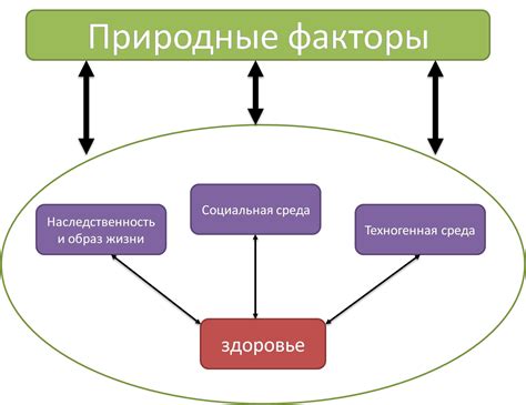 Факторы, благотворно влияющие на здоровье человека