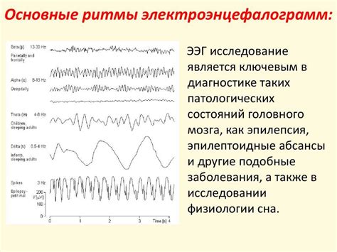 Факторы, влияющие на альфа-ритм