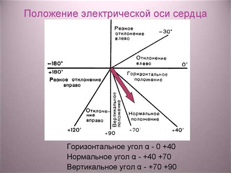 Факторы, влияющие на вертикальное положение эос: