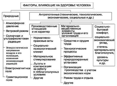 Факторы, влияющие на гистологию