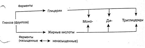 Факторы, влияющие на накопление статического заряда в организме