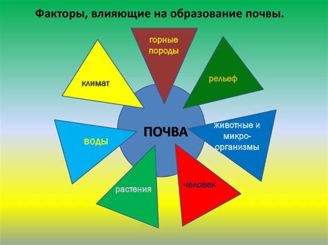 Факторы, влияющие на образование нелинейной траектории движения