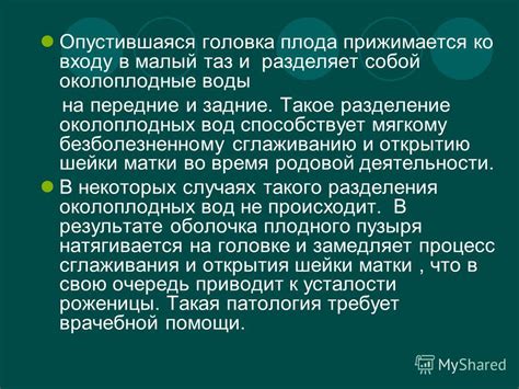 Факторы, влияющие на открытие родовых путей