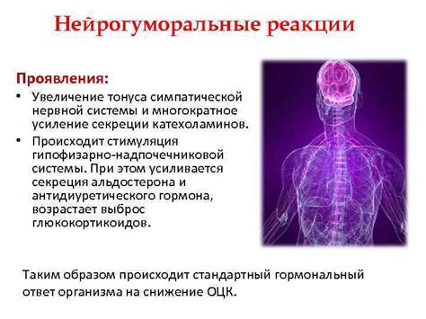 Факторы, влияющие на понижение тонуса симпатической нервной системы