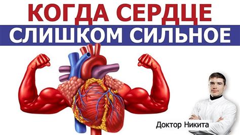 Факторы, влияющие на развитие спортивного сердца