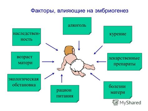 Факторы, влияющие на рекомендуемый возраст