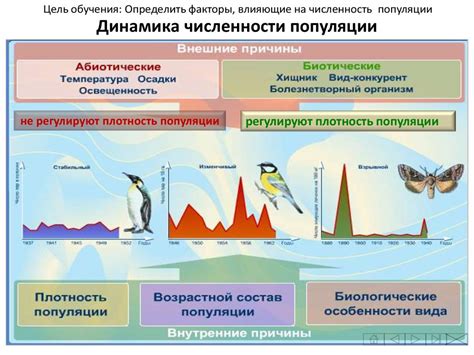 Факторы, влияющие на рост организмов