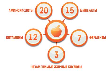 Факторы, влияющие на синтез витаминов