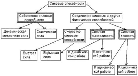 Факторы, влияющие на уровень силовых способностей