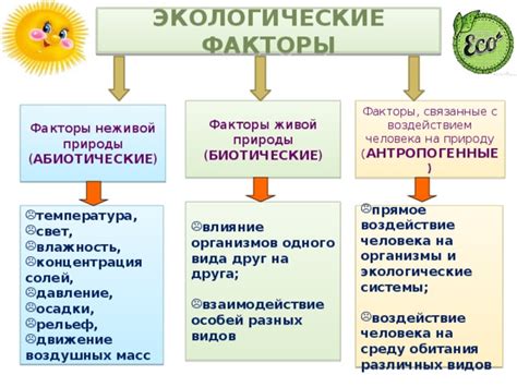 Факторы, воздействующие на смысл сновидений о собственной погребальной могиле