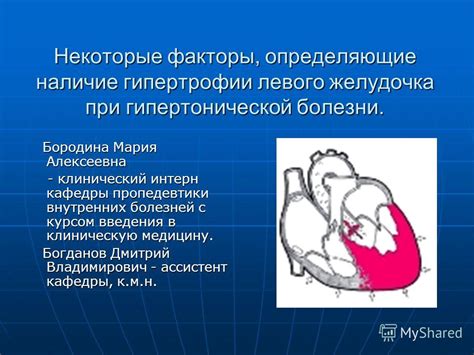 Факторы, вызывающие увеличение левого желудочка организма