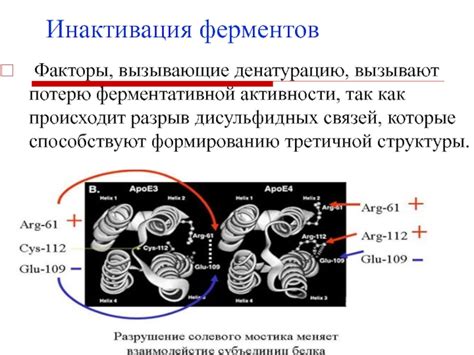 Факторы, вызывающие физическую потерю головы