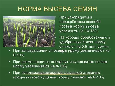 Факторы, которые влияют на норму посева