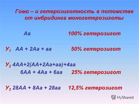 Факторы влияния на гомо- и гетерозиготность