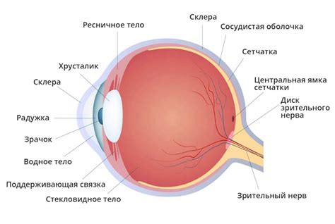 Факторы и интерпретация снов о суппурации в области глаза