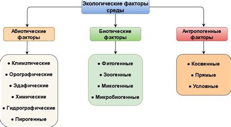 Факторы окружающей среды и вегетативное состояние у детей