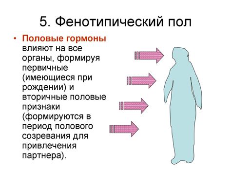 Факторы определяющие пол младенца