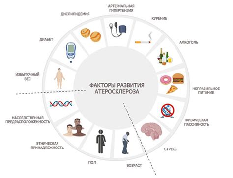 Факторы риска, провоцирующие развитие незрелой катаракты