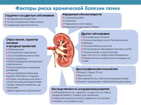 Факторы риска развития нефропатии почек