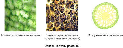 Фактура ткани: основные характеристики и способы создания