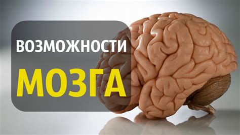 Факт 3: Таинственные способности мозга