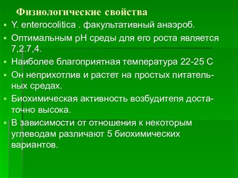 Факультативный анаэроб: определение и роль