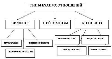 Фацелия и биотические связи